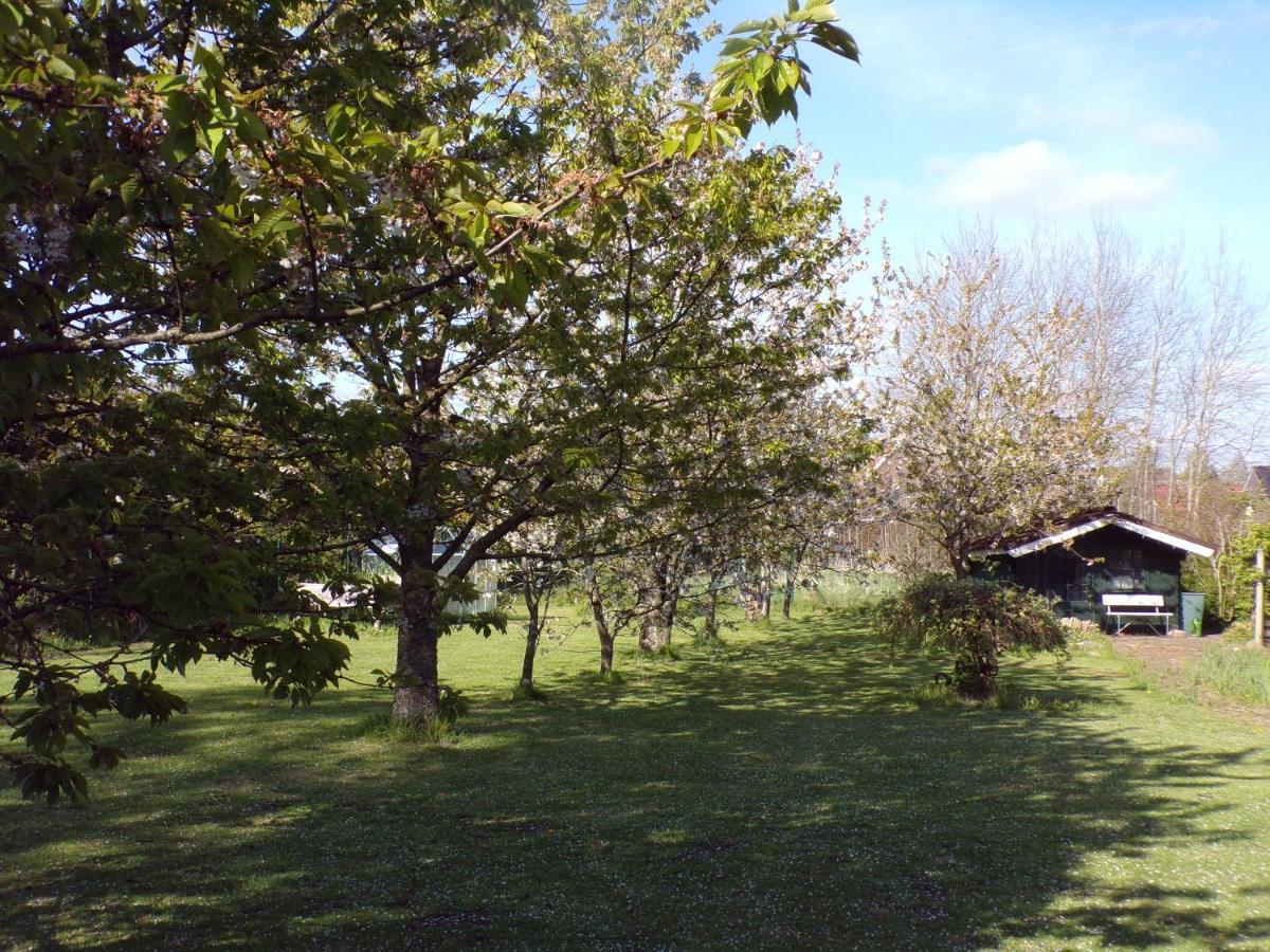 Ferienwohnung Aurich Sandhorst Eg Mit Terrasse Und Kleinem Garten Εξωτερικό φωτογραφία